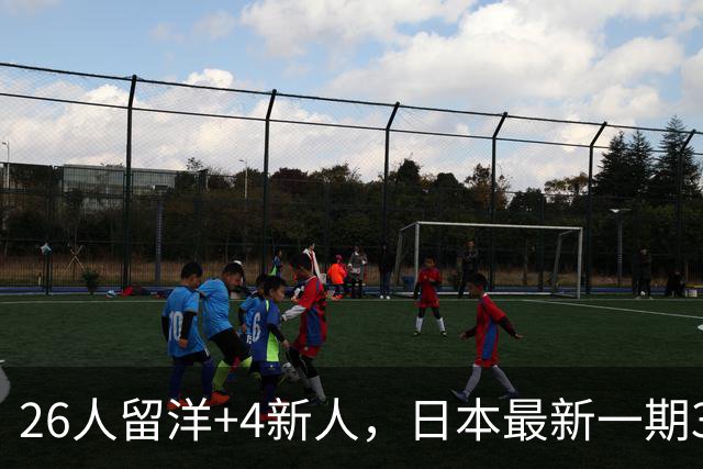 26人留洋+4新人，日本最新一期31人名单：佐野海舟、铃木彩艳领衔